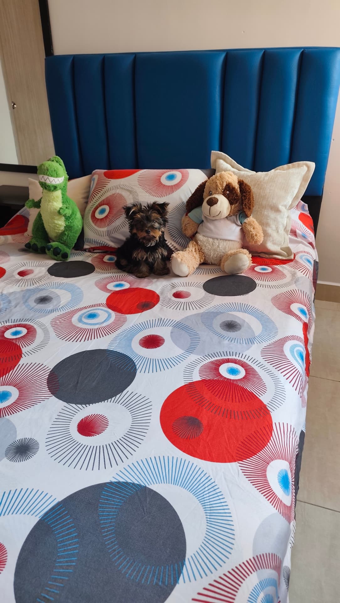 Roma sentada en la cama junto a sus peluches